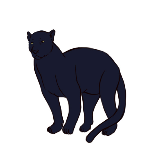 500x500 Pencil Sketches And Drawings How To Draw A Black Panther - Panther Face Sketch