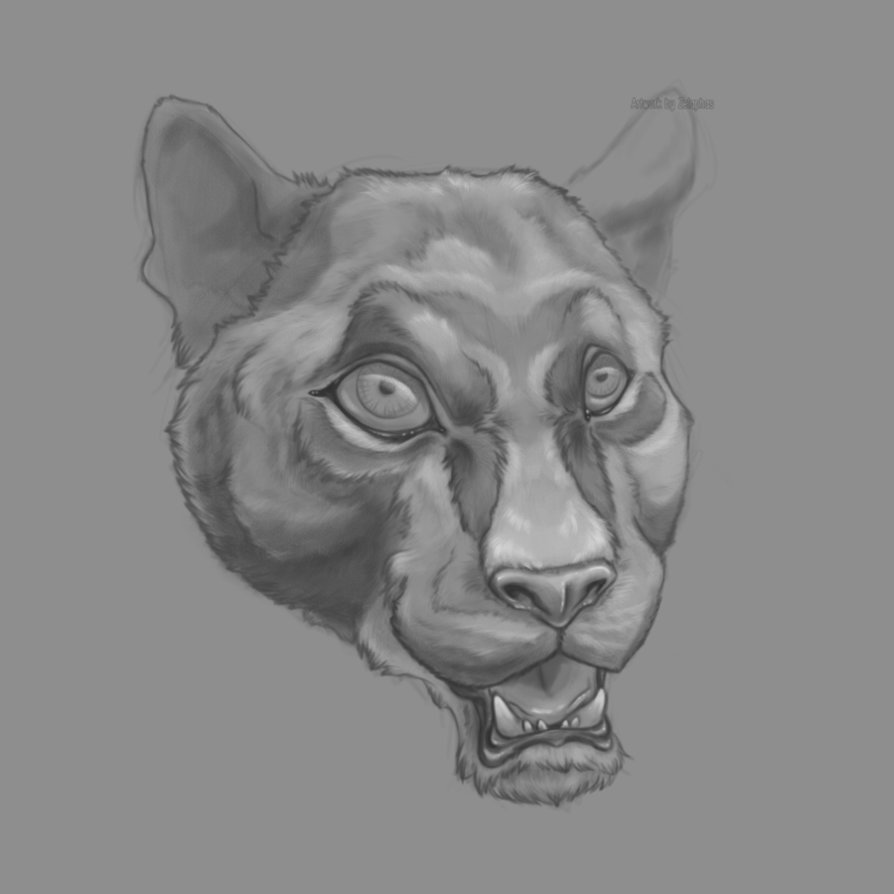 894x894 Black Panther Sketch By Zelaphas - Panther Face Sketch