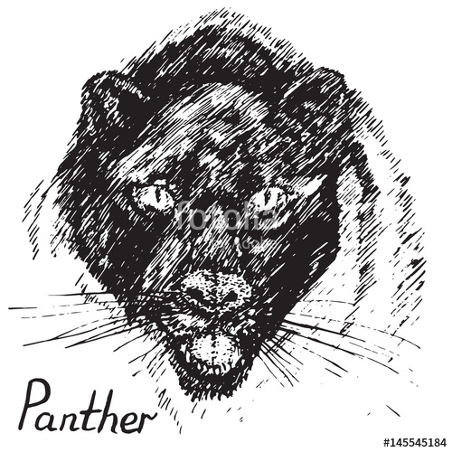 500x500 Black Panther Face Front, Hand Drawn Doodle, Sketch In Pop Art - Panther Face Sketch