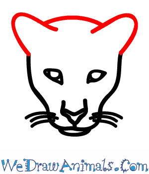 300x350 How To Draw A Florida Panther - Panther Head Sketch