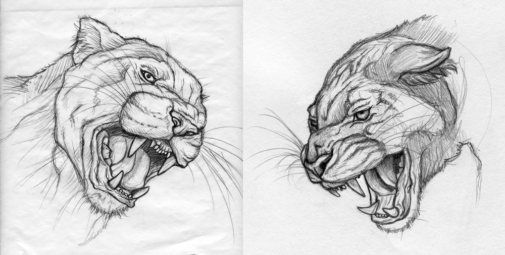 1000x506 Sketches Amy Piguet - Panther Head Sketch