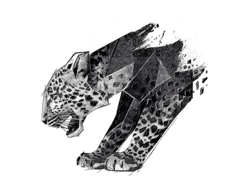 800x600 Panther Drawing By Birgit Palma - Panther Sketch