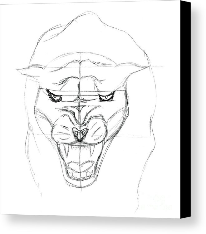660x750 Panther Sketch Canvas Print Canvas Art By J M Lister - Panther Sketch