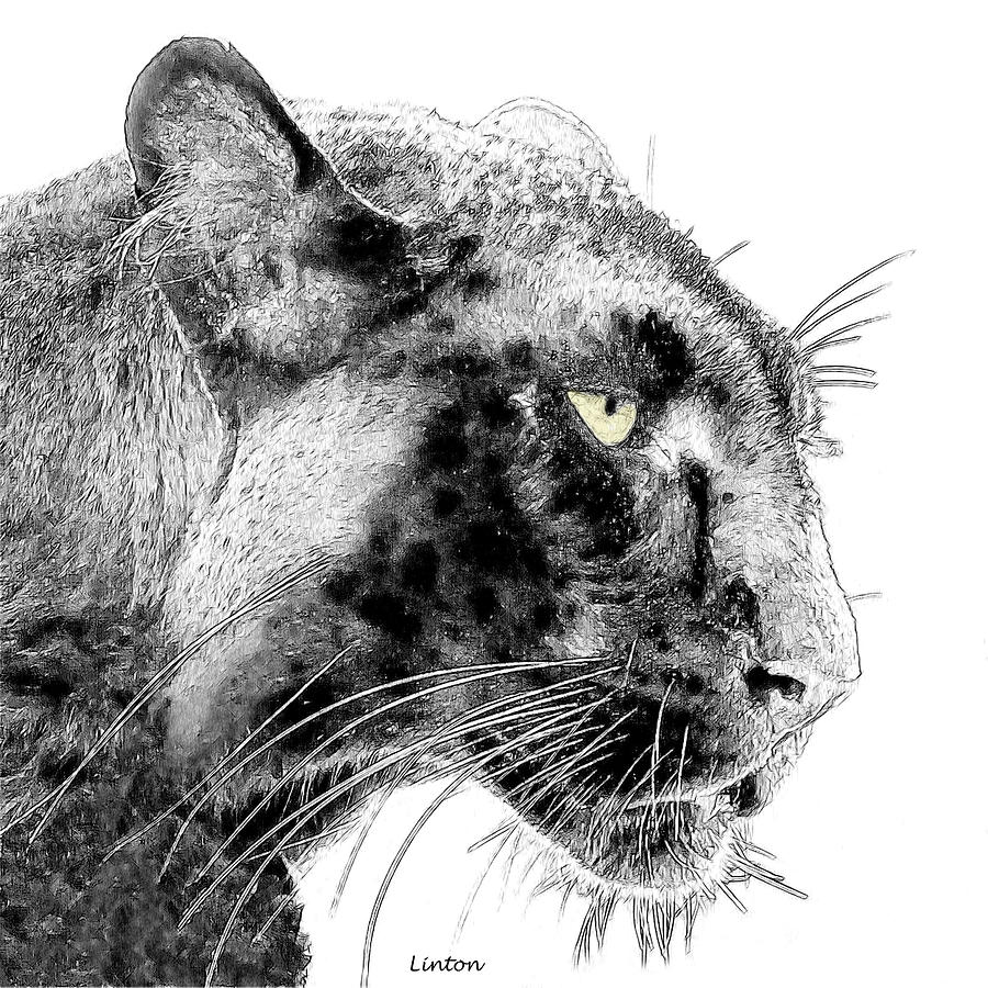 900x900 Black Panther 3 Digital Art By Larry Linton - Panther Sketch