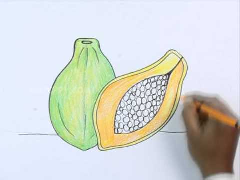 480x360 How To Draw A Papaya - Papaya Sketch