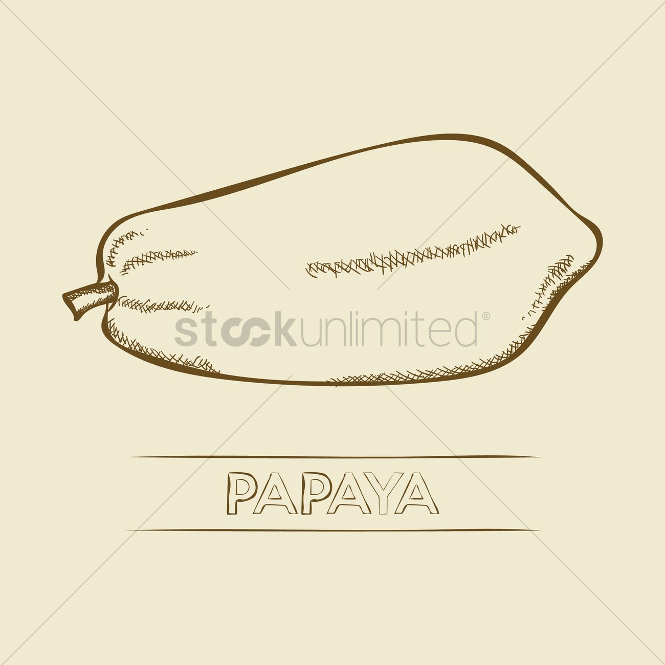 1300x1300 Papaya Vector Image - Papaya Sketch