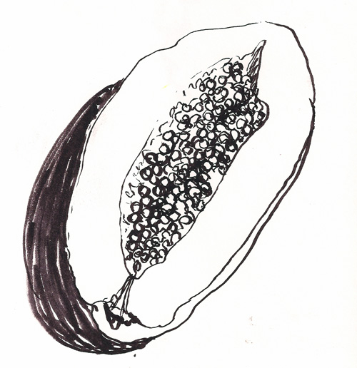 500x516 Rembrandt Carpetmoss - Papaya Sketch