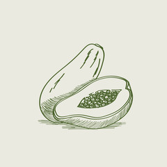 240x240 Search Photos Papaya Sketch - Papaya Sketch