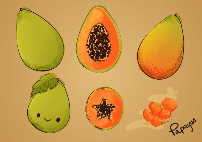 700x490 Sketched Papaya Vector Set - Papaya Sketch