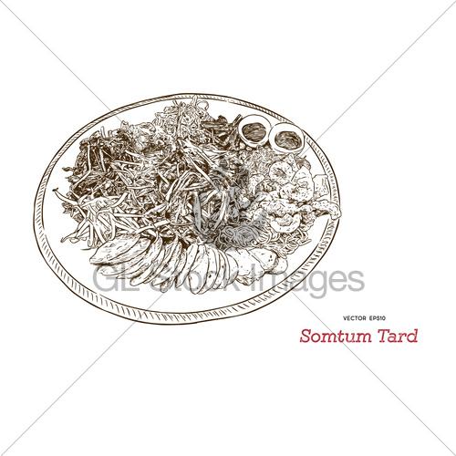 500x500 Somtum Tard Papaya Salad On Tray, Hand Draw Sketch Vector. Gl - Papaya Sketch