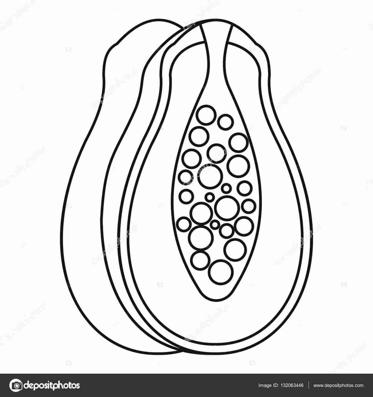 1264x1343 Trial Bigstockrhbigstockphotocom Hand Drawing Papaya Drawn Sketch - Papaya Sketch