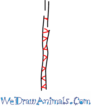 300x350 How To Draw A Papaya Tree - Papaya Tree Sketch