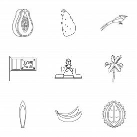 275x275 Papaya Tree Photos And Images - Papaya Tree Sketch