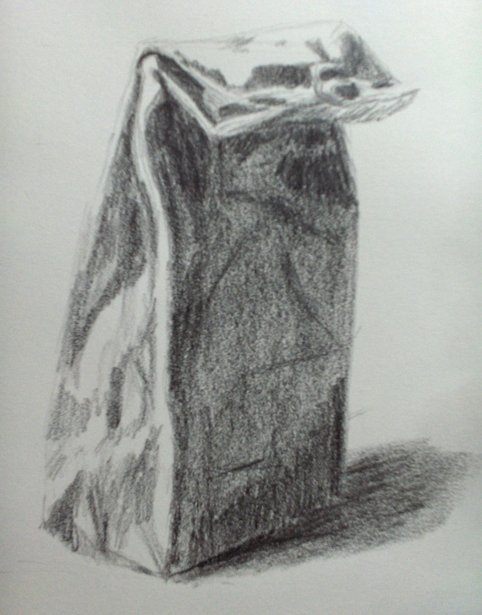 1684x2148 Sketch - Paper Bag Sketch