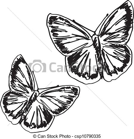 450x465 Papillon, Vecteur, Sketch., Illustration. - Papillon Sketch