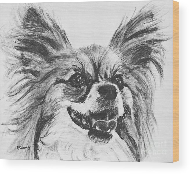 655x600 Papillon Dog Drawing Wood Print By Kate Sumners - Papillon Sketch