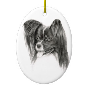 307x307 Papillon Drawing Gifts On Zazzle - Papillon Sketch