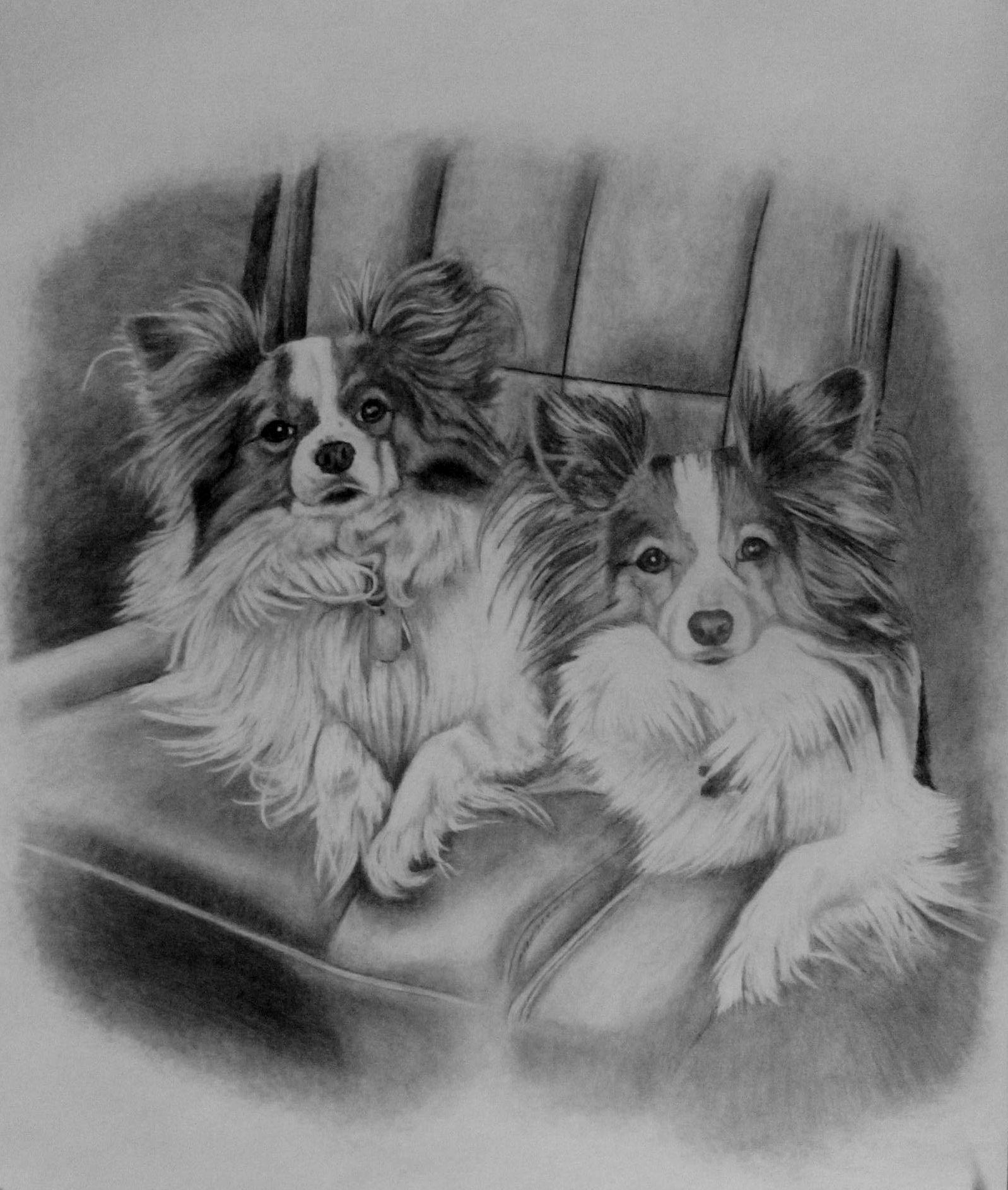 1598x1887 Rascal Amp Scooter Sketch. 2 - Papillon Sketch