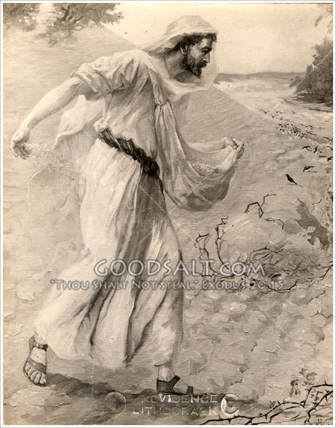 472x600 Parable Of The Sower - Parable Of The Sower Sketch