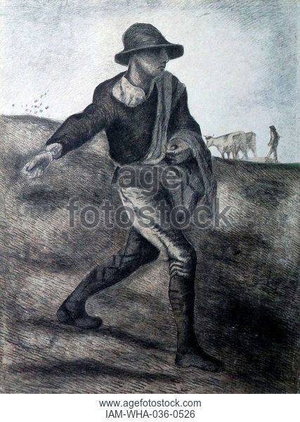 427x600 Sower Stock Photos And Images Age Fotostock - Parable Of The Sower Sketch