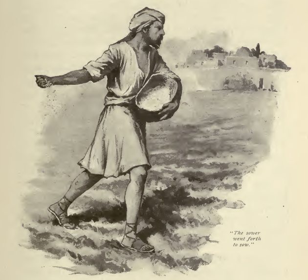 630x571 The Sower Went Forth To Sow Christ Object Lessons - Parable Of The Sower Sketch