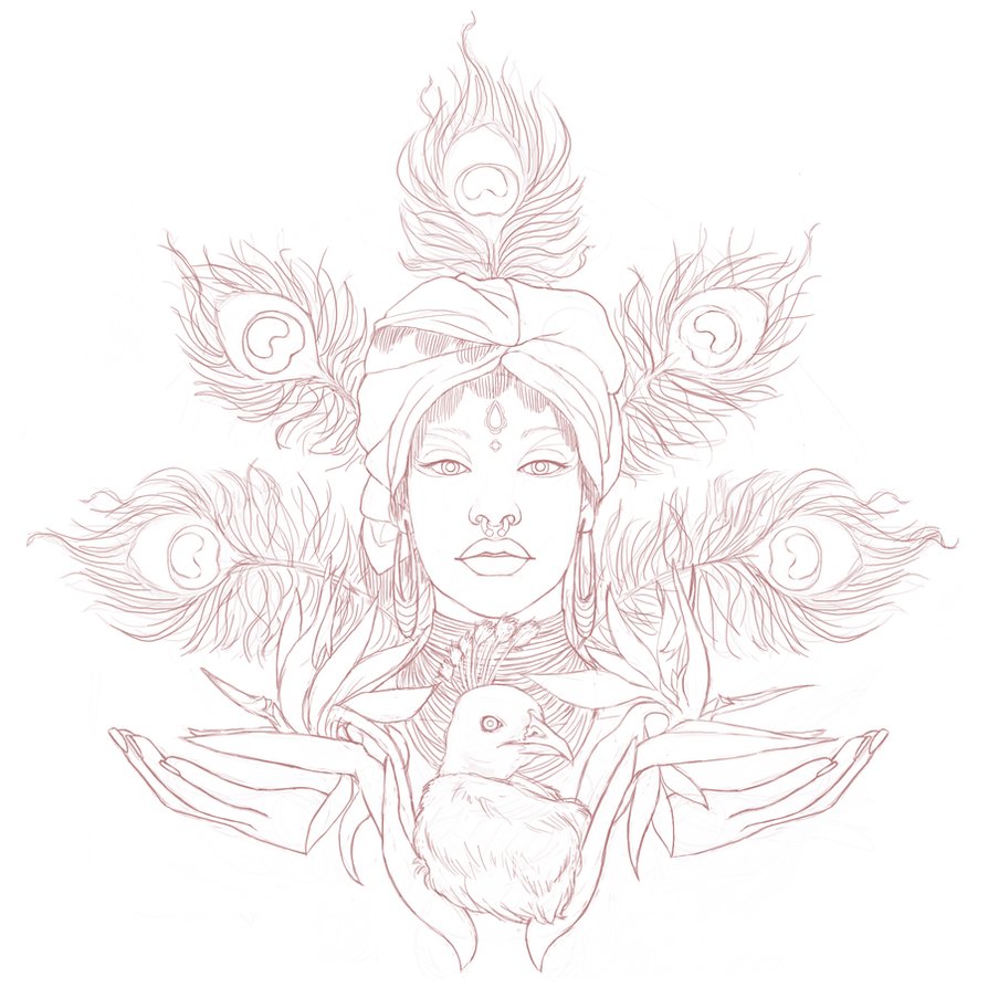 894x894 Birds Of Paradise Sketch Wip By Roughreaill - Paradise Sketch