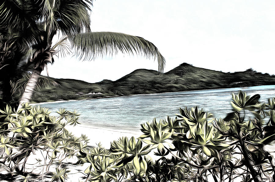 900x598 Pencil Sketch Of A Lovely Tropical Paradise Photograph By Ashish - Paradise Sketch
