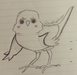 320x311 Parakeet Drawings On Paigeeworld. Pictures Of Parakeet - Parakeet Sketch