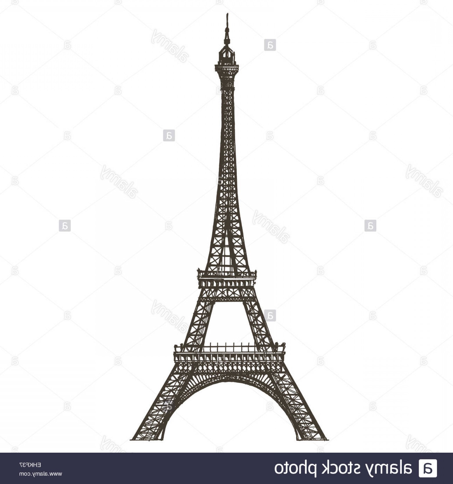 1560x1668 Stock Photo Eiffel Tower Paris France On A White Background Sketch - Paris France Sketch