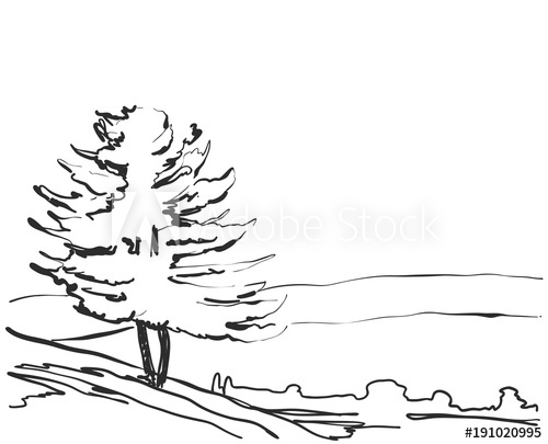 500x405 Vector Landscape. Sketch A Park Bench. Tree - Park Bench Sketch