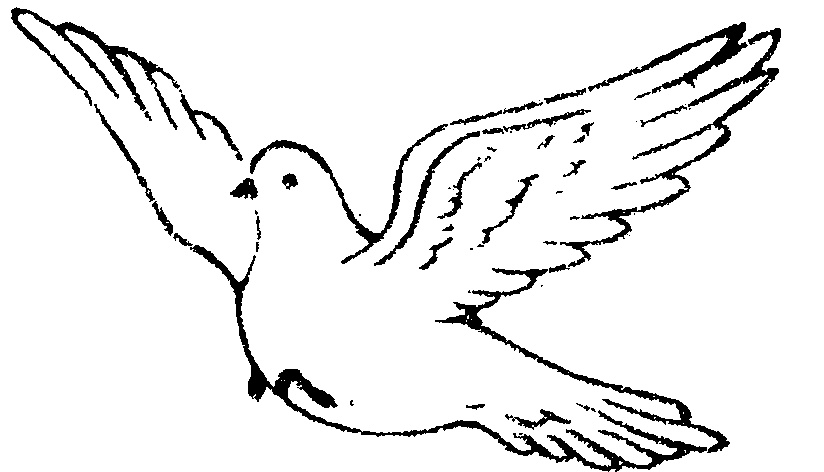 824x472 Collection Of Flying Parrot Drawing High Quality, Free - Parrot Bird Sketch