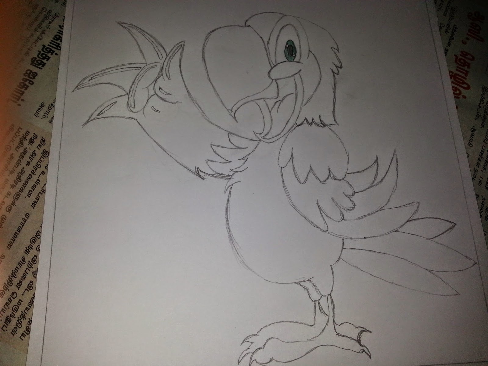 1600x1200 A Beautiful Pencil Drawing Of Parrot Beautiful Pencil Drawings - Parrot Pencil Sketch