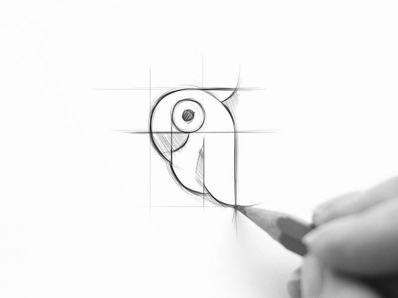 800x600 Parrot Sketch By Shibu Pg - Parrot Sketch