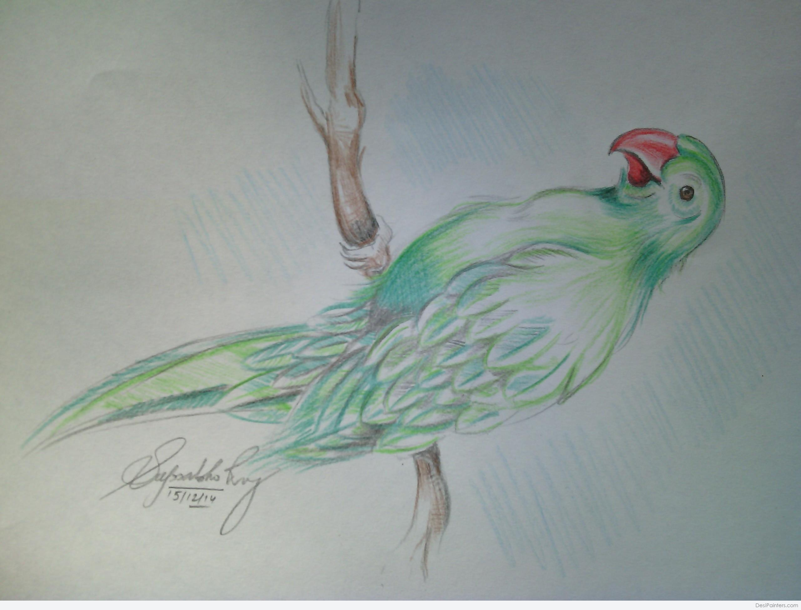 2560x1950 Simple Image Of Parrot By Pencil Sketch Parrot Sketch Drawing At - Parrot Sketch
