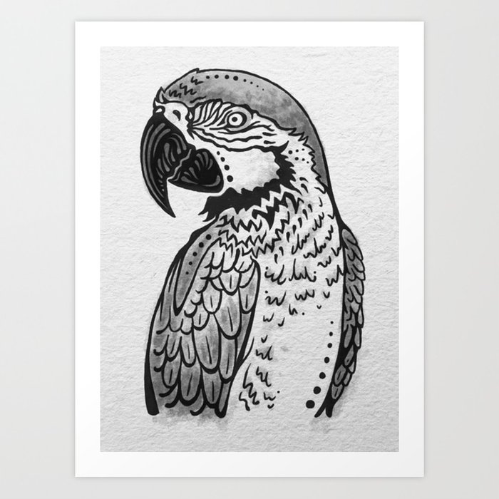 700x700 Parrot Sketch - Parrot Sketch Images
