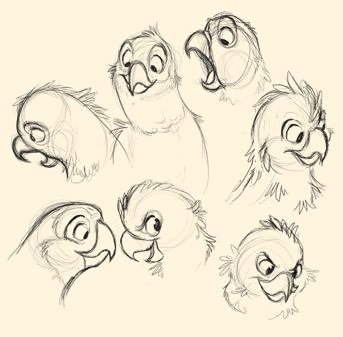 700x689 Parrot Sketches By On @ - Parrot Sketch Images