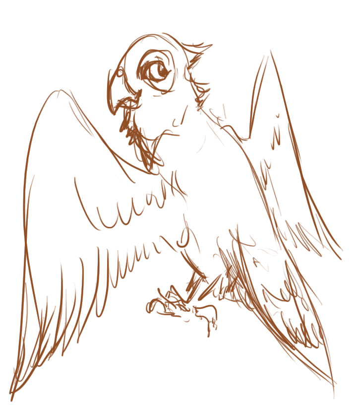 728x842 Parrot Sketch By Lyricabelachium - Parrot Sketch Images