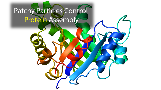 640x359 Patchy Particle Algorithm Helps Sketch Out Protein Formation - Particle Sketch