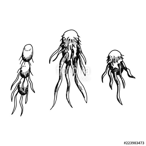 500x500 Germs Of A Particle Sketch Isolated On White Background Stock - Particle Sketch