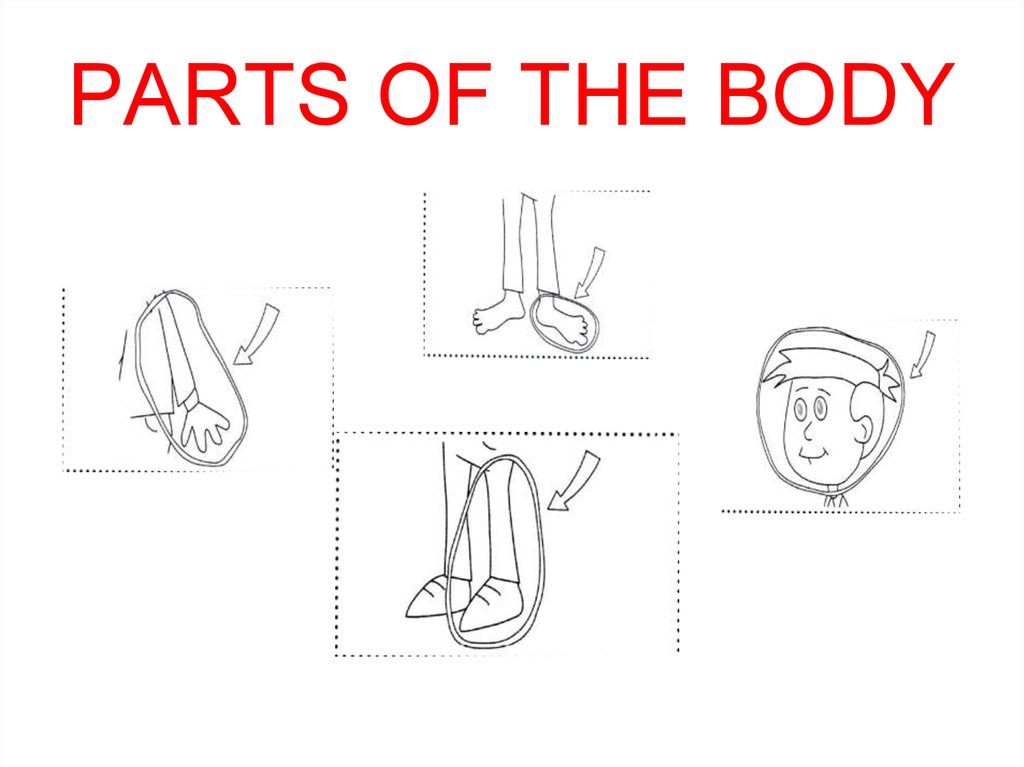 1024x767 Parts Of The Body - Parts Of The Body Sketch