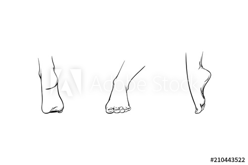 500x334 Set Of Feet In Different Angles, Parts Of A Human Body, Lines And - Parts Of The Body Sketch