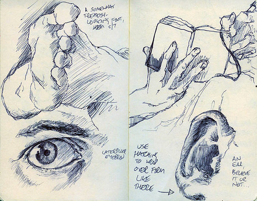 500x391 Sketched Body Parts A Couple Of Pages From My Sketchbook - Parts Of The Body Sketch