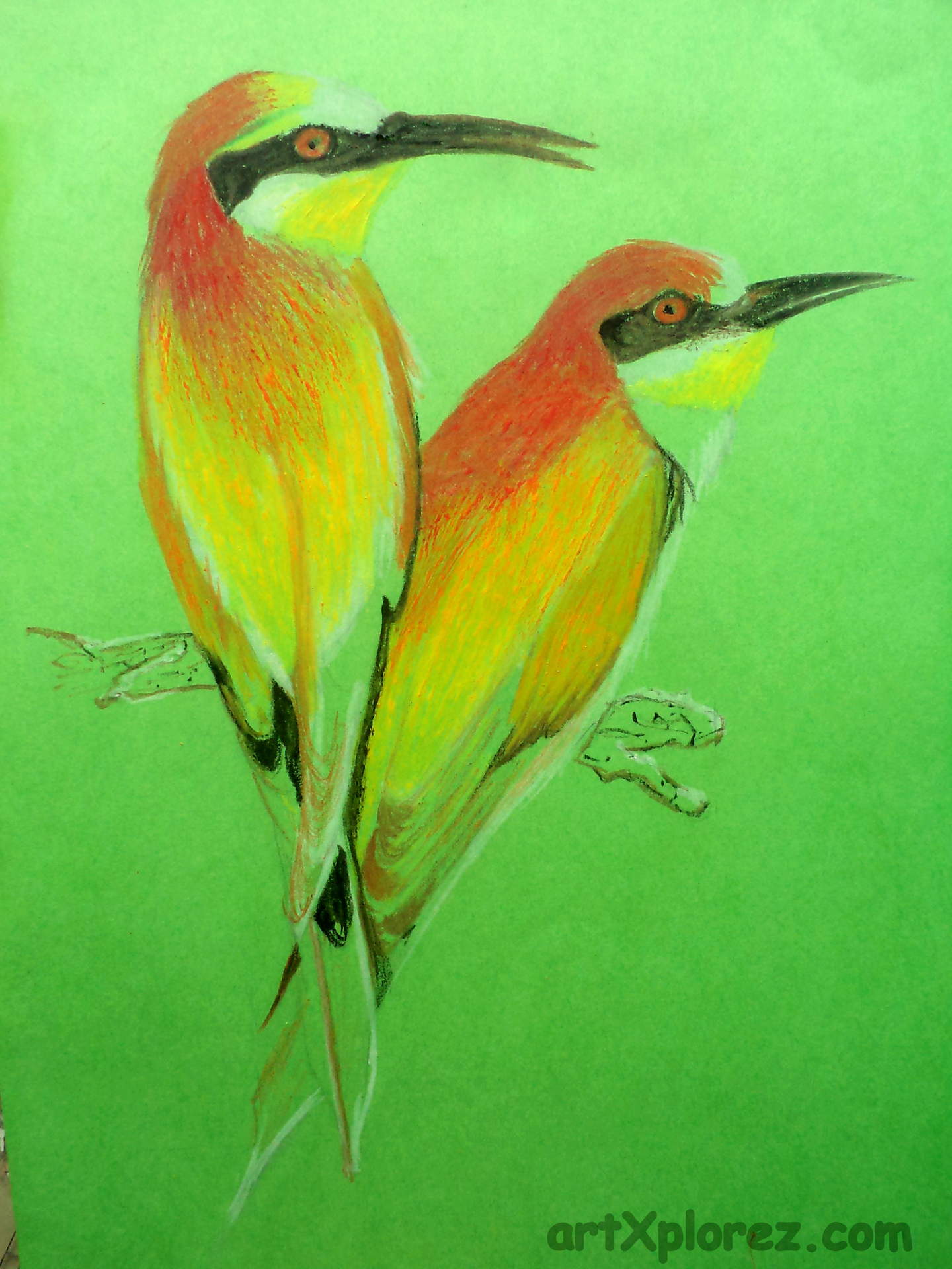 1440x1920 Drawing Birds Using Oil Pastels Artxplorez - Pastel Color Sketch