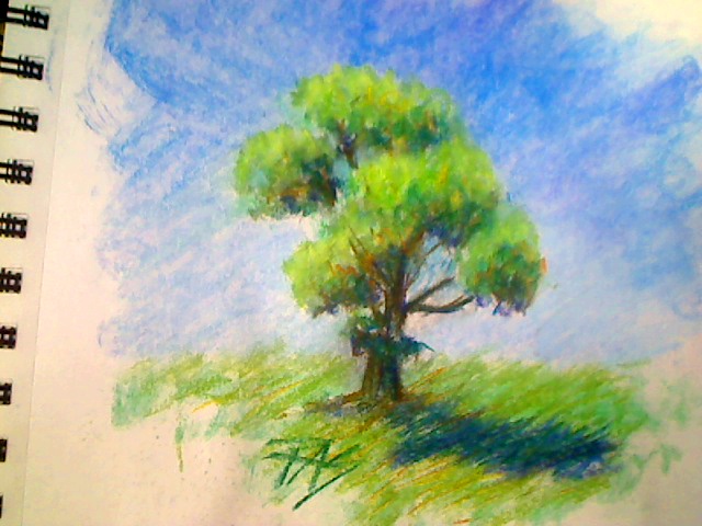 640x480 March 2010 Pastel Sketch Thread [Archive] - Pastel Color Sketch