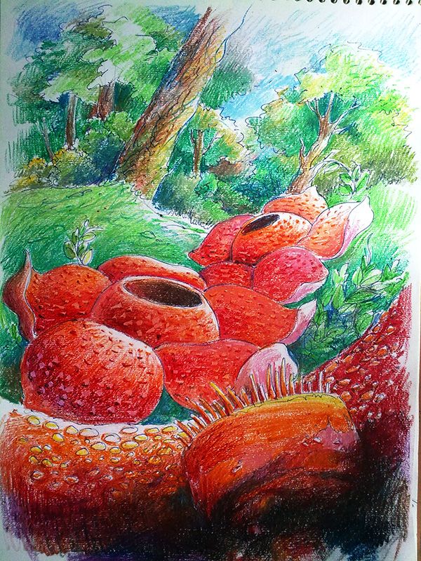 600x800 Photos Scenery Drawing Pastel Color, - Pastel Color Sketch