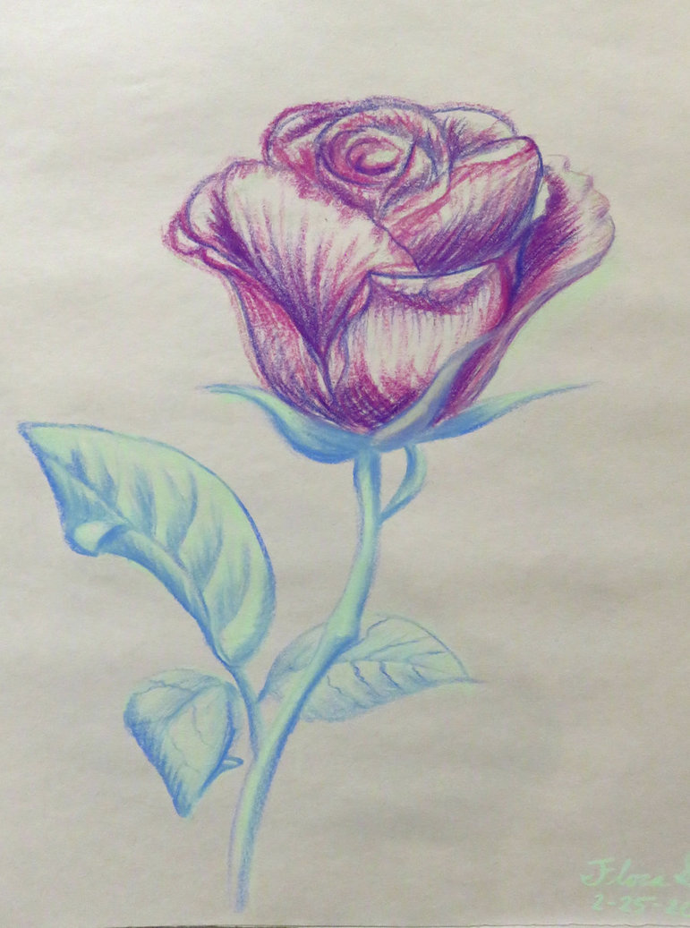 771x1037 Rose - Pastel Color Sketch
