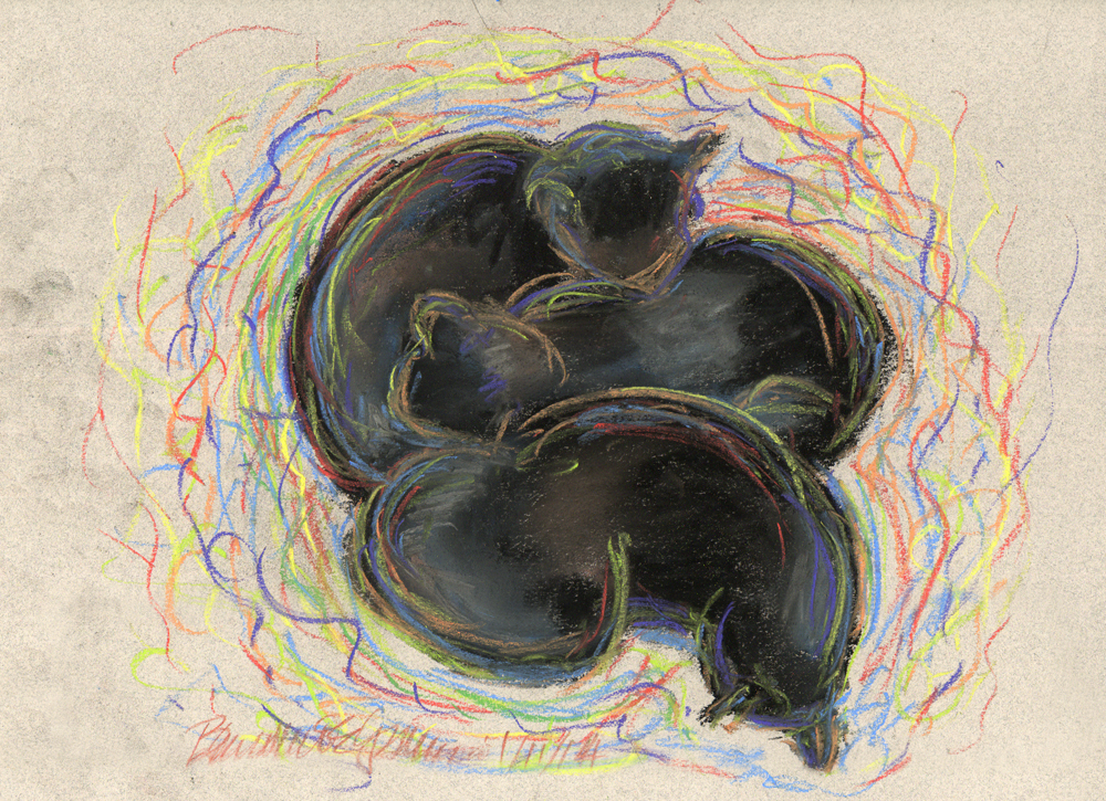 1000x725 Daily Sketch Reprise Black Cats Dreaming In Color, 2014 ~ The - Pastel Color Sketch