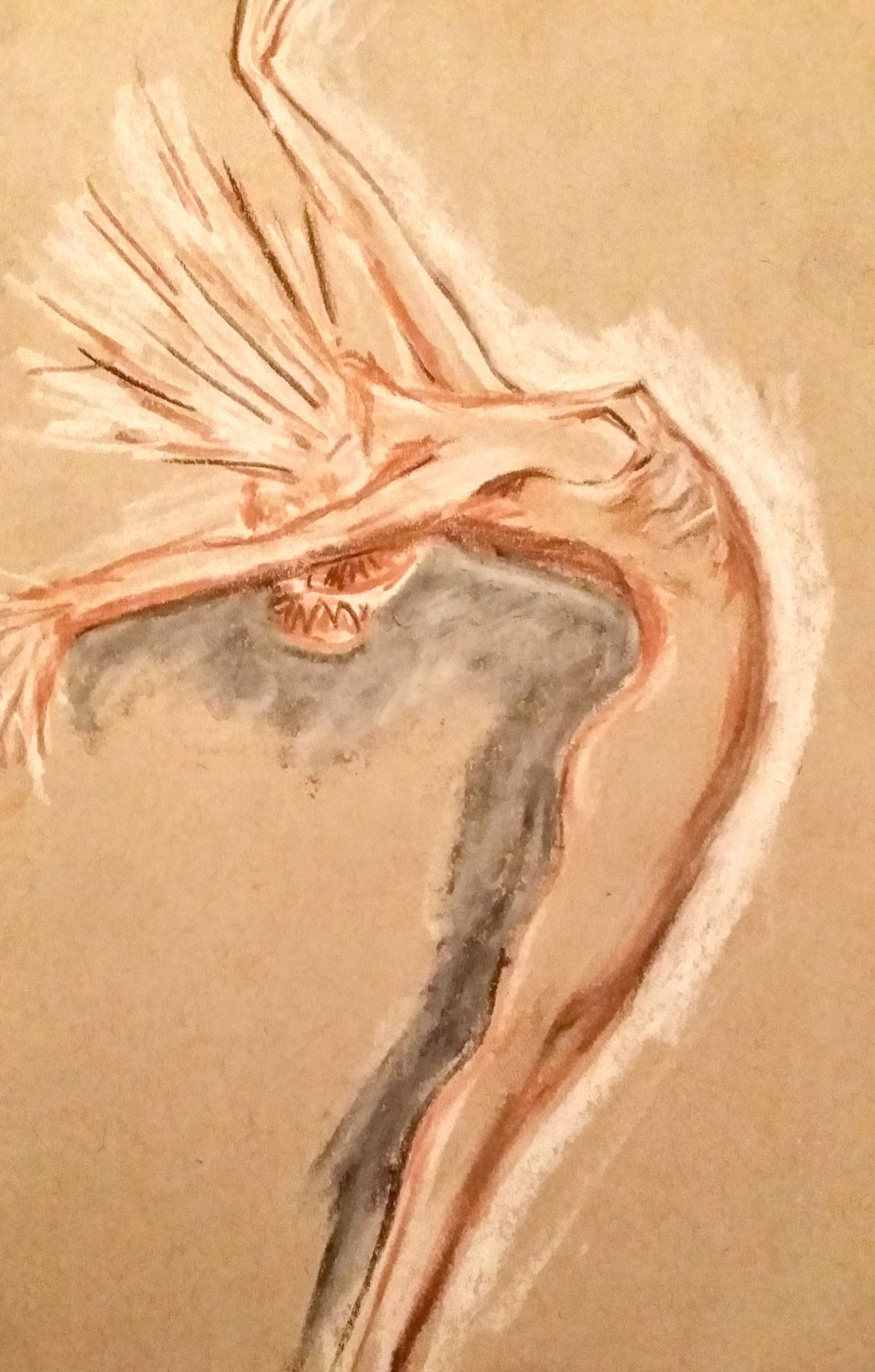 2185x3423 Pastel Sketch Danara Sarioglu - Pastel Sketch