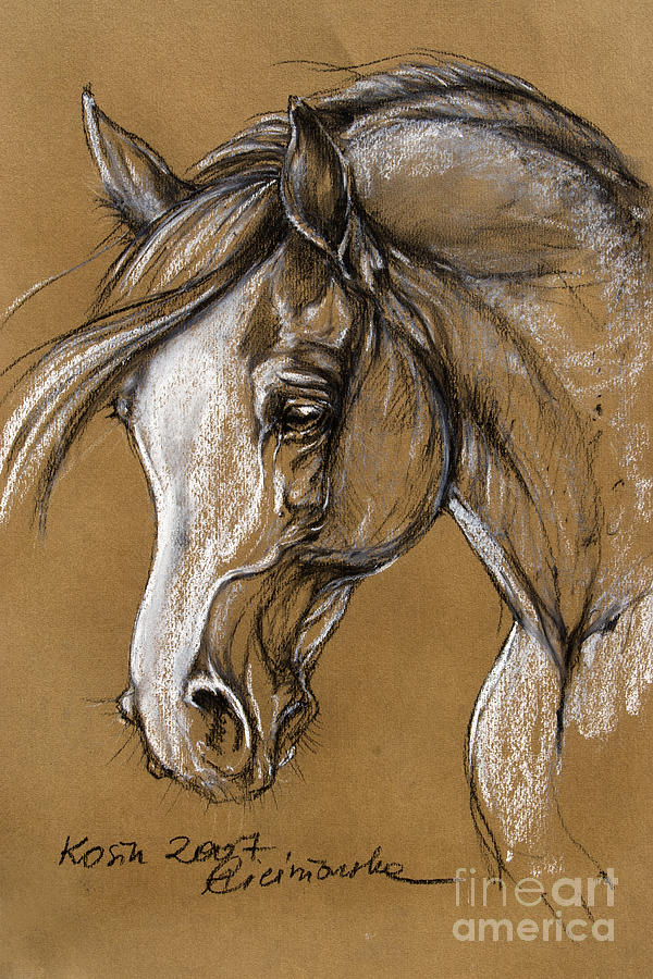 600x900 White Horse Soft Pastel Sketch Pastel By Angel Ciesniarska - Pastel Sketch