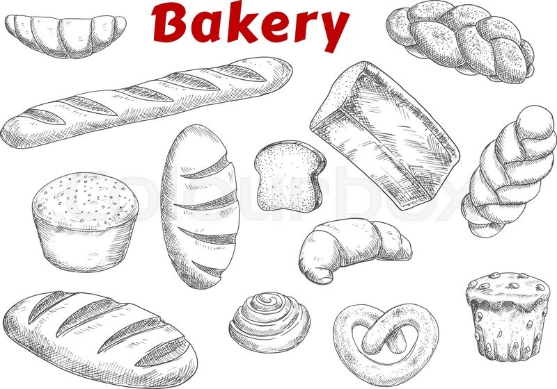 800x560 Bakery And Pastry Products Sketches With Raisins Muffin And - Pastry Sketch